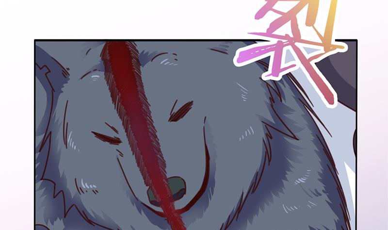 倾城之上韩漫全集-第359话 褪去狗皮无删减无遮挡章节图片 