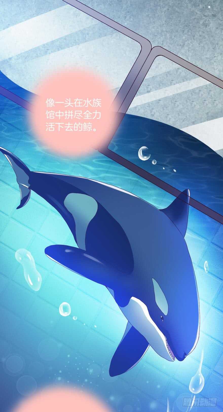 情兽不要啊！韩漫全集-虎鲸番外：孤鲸（下）无删减无遮挡章节图片 