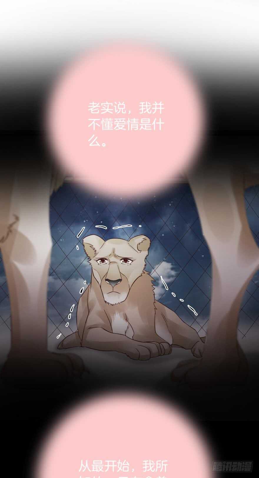 情兽不要啊！韩漫全集-145话：爱情是什么？无删减无遮挡章节图片 