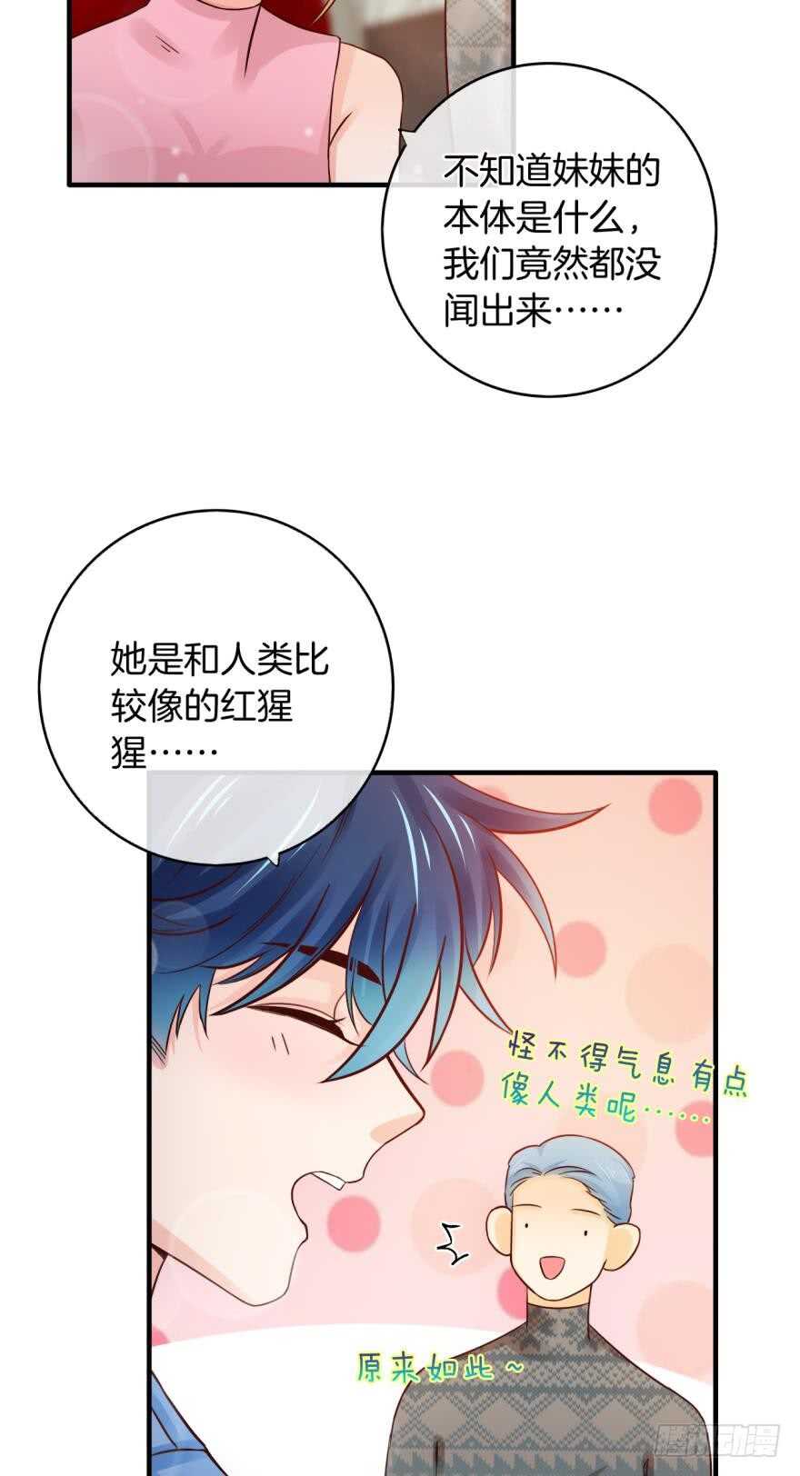 情兽不要啊！韩漫全集-146话：两个老婆？无删减无遮挡章节图片 