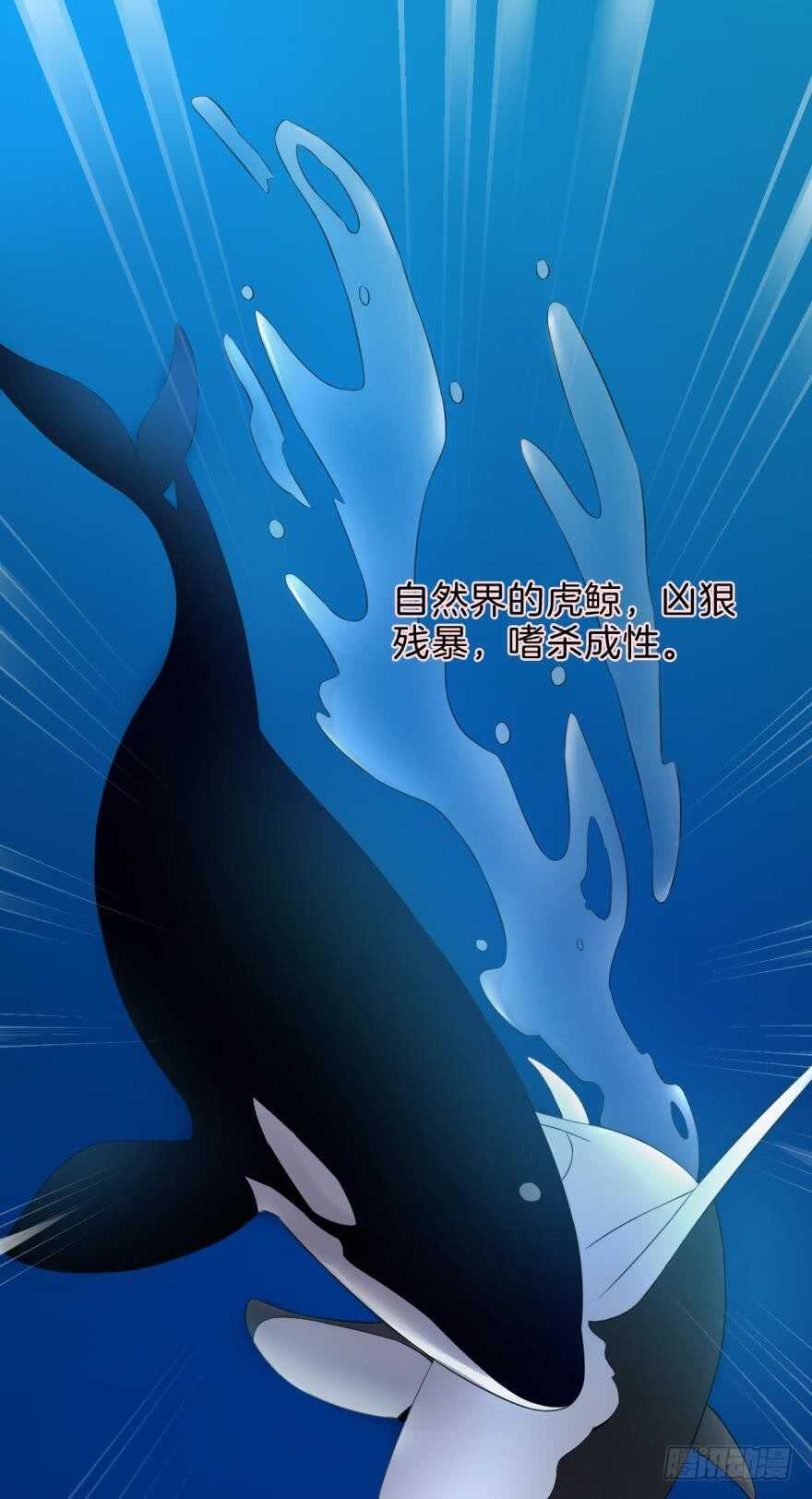 情兽不要啊！韩漫全集-158话：虎鲸，杀手鲸无删减无遮挡章节图片 