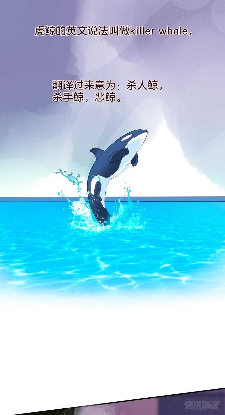 情兽不要啊！韩漫全集-158话：虎鲸，杀手鲸无删减无遮挡章节图片 