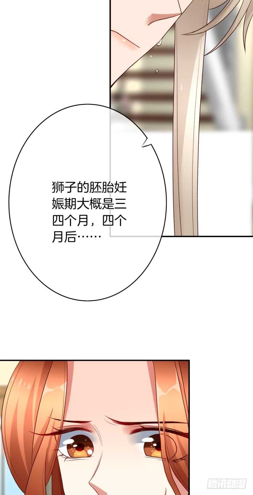 情兽不要啊！韩漫全集-166话：我宣布你们结婚无删减无遮挡章节图片 