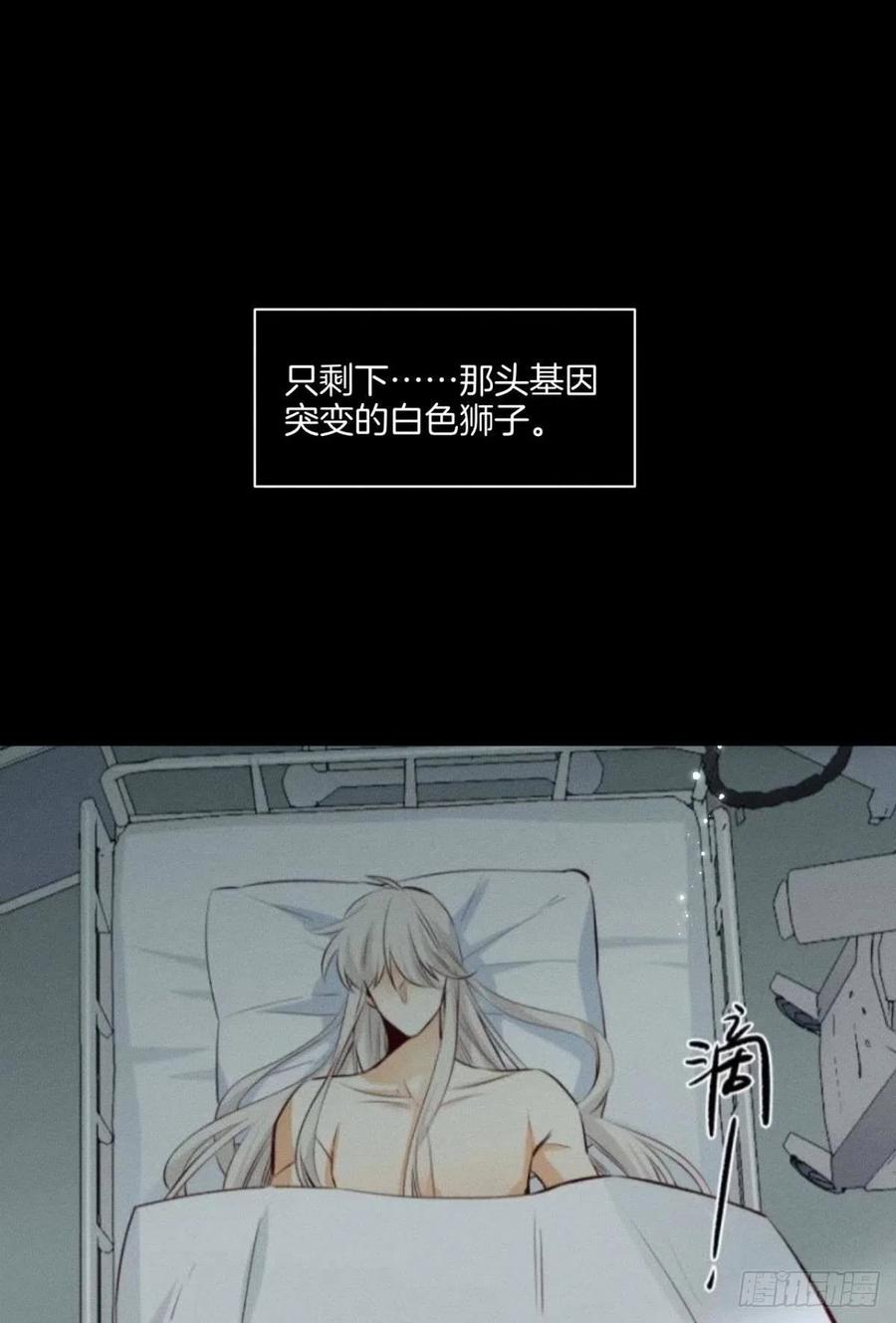 情兽不要啊！韩漫全集-207话：破碎梦境无删减无遮挡章节图片 