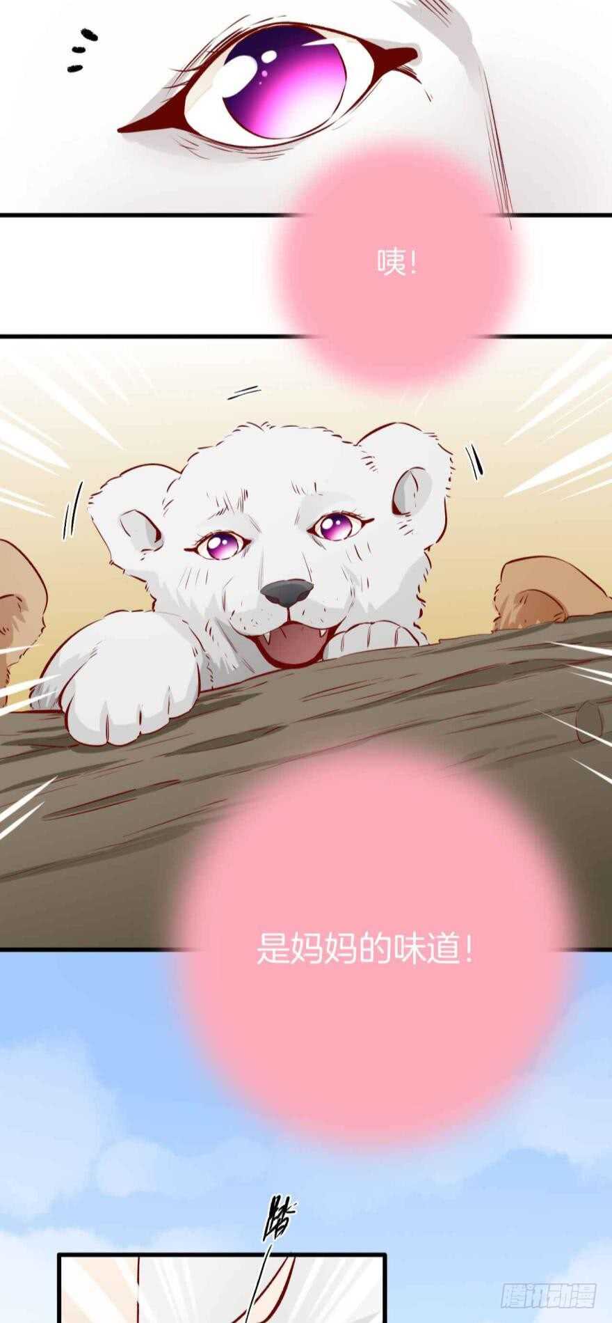 情兽不要啊！韩漫全集-88话：母亲不爱我们无删减无遮挡章节图片 