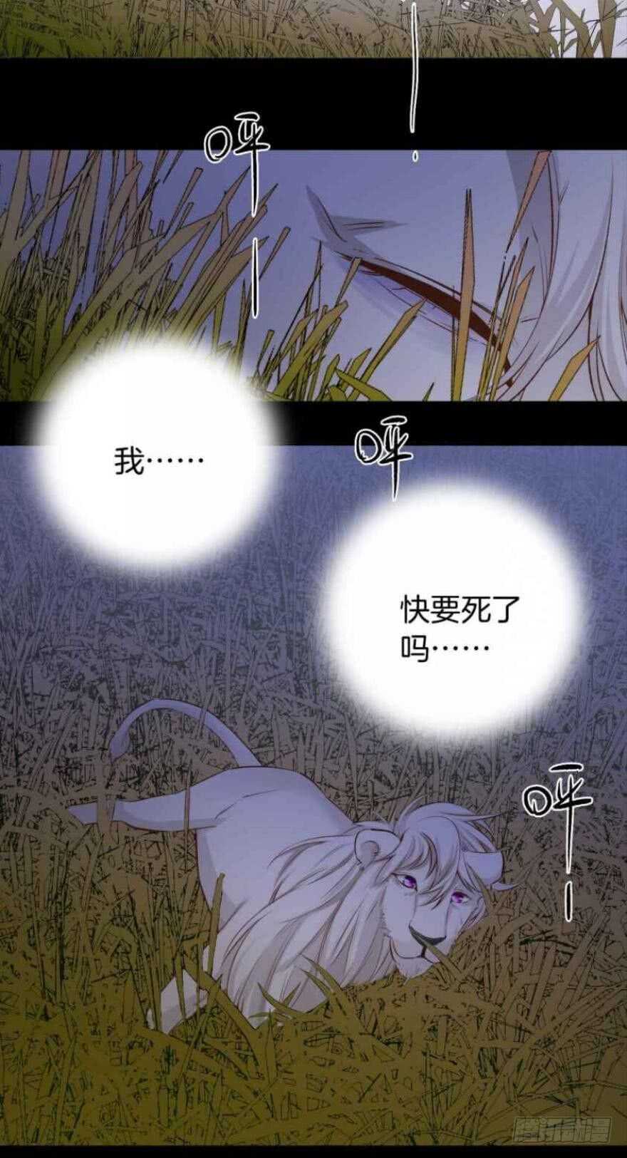 情兽不要啊！韩漫全集-88话：母亲不爱我们无删减无遮挡章节图片 