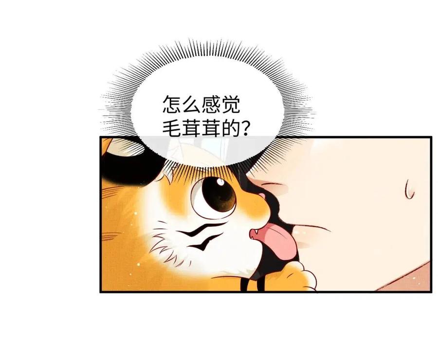 妻为上韩漫全集-第74话 虎仔仔的初吻没了！无删减无遮挡章节图片 