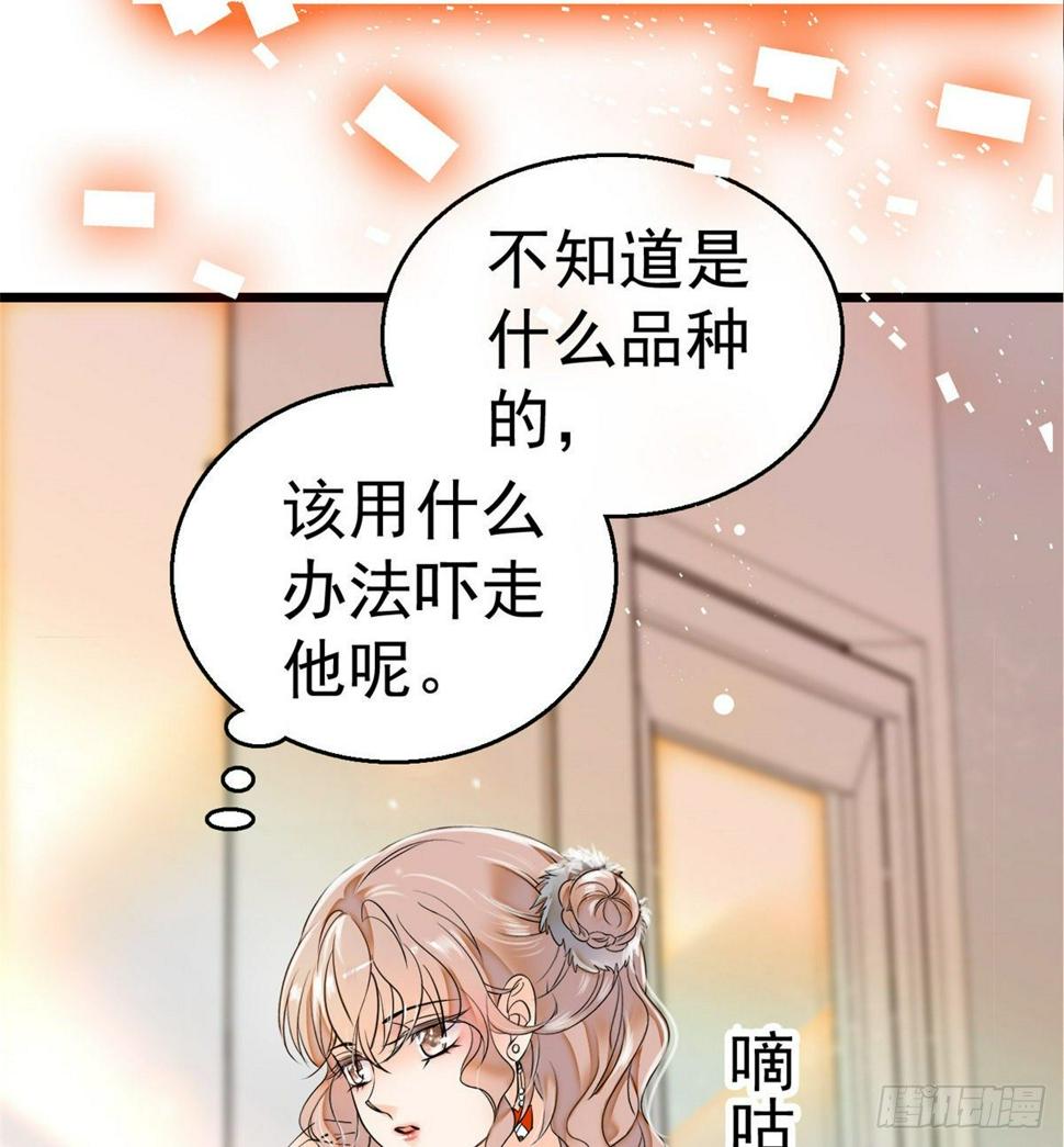 全网都是我和影帝CP粉韩漫全集-001 我有新老公到货了？！无删减无遮挡章节图片 
