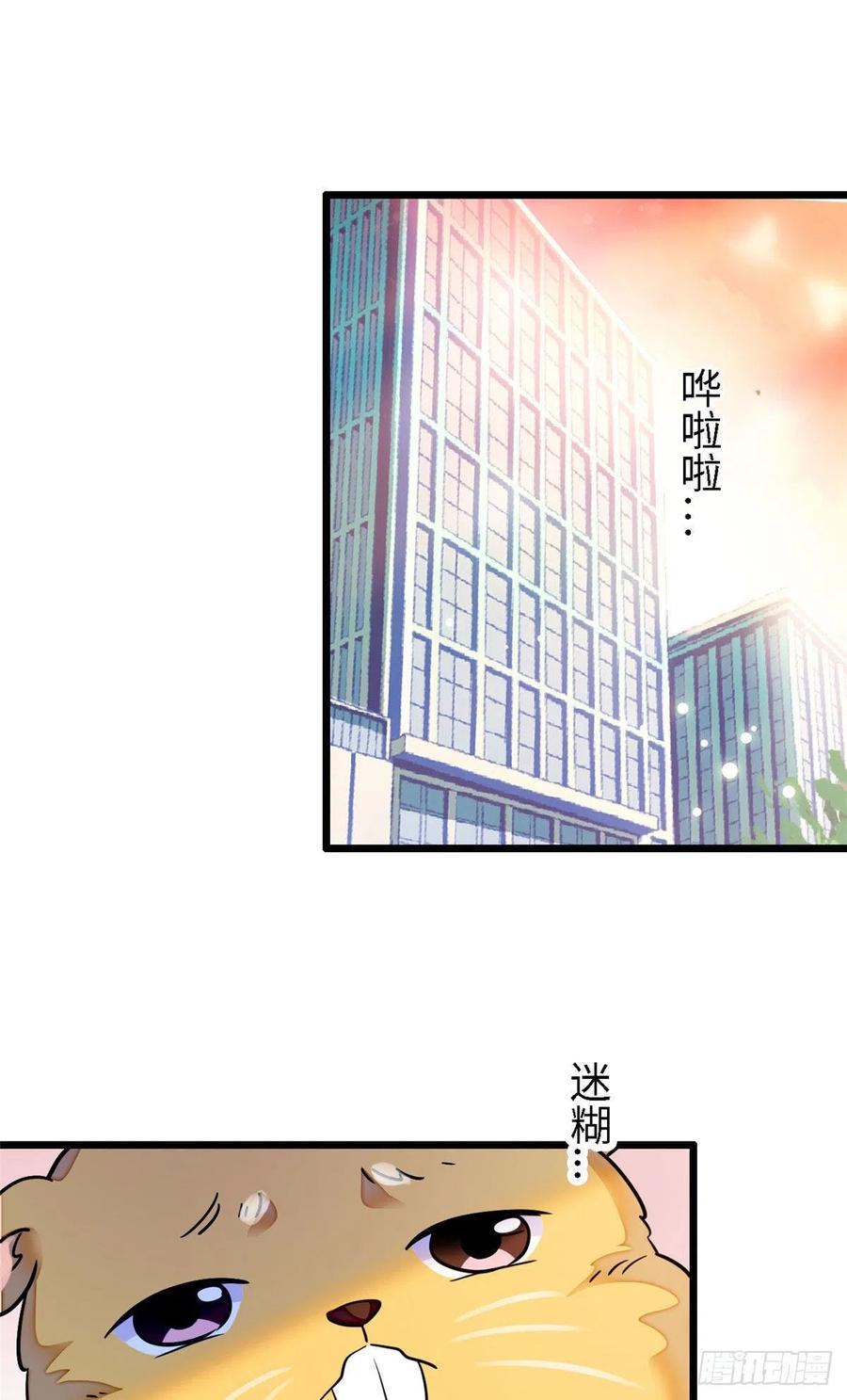 全网都是我和影帝CP粉韩漫全集-164 变不回去了！无删减无遮挡章节图片 