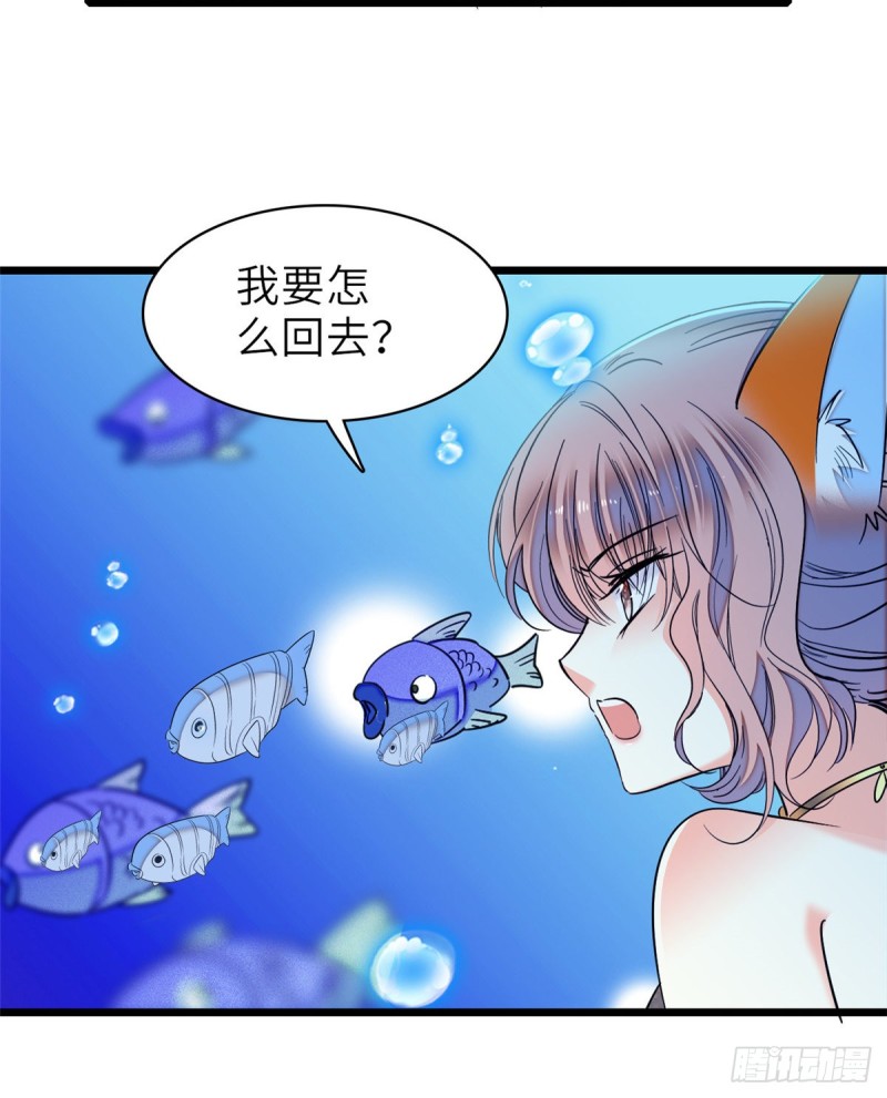 全网都是我和影帝CP粉韩漫全集-056 和鱼头汤二人世界？！无删减无遮挡章节图片 