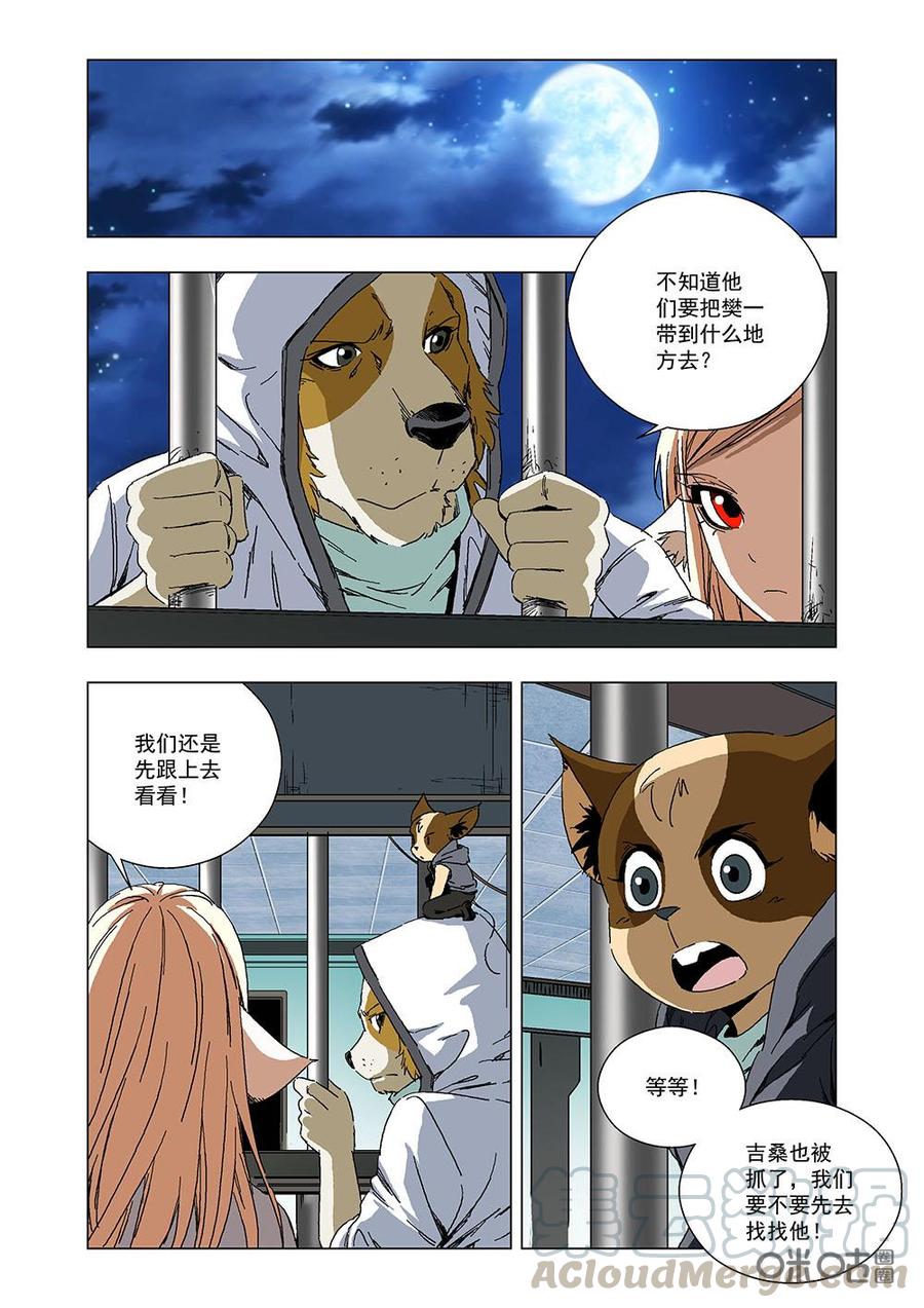 全物种进化韩漫全集-第114话：白虎无删减无遮挡章节图片 