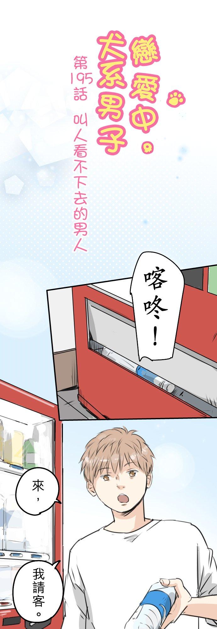犬系男子恋爱中韩漫全集-第195话 叫人看不下去的男人无删减无遮挡章节图片 