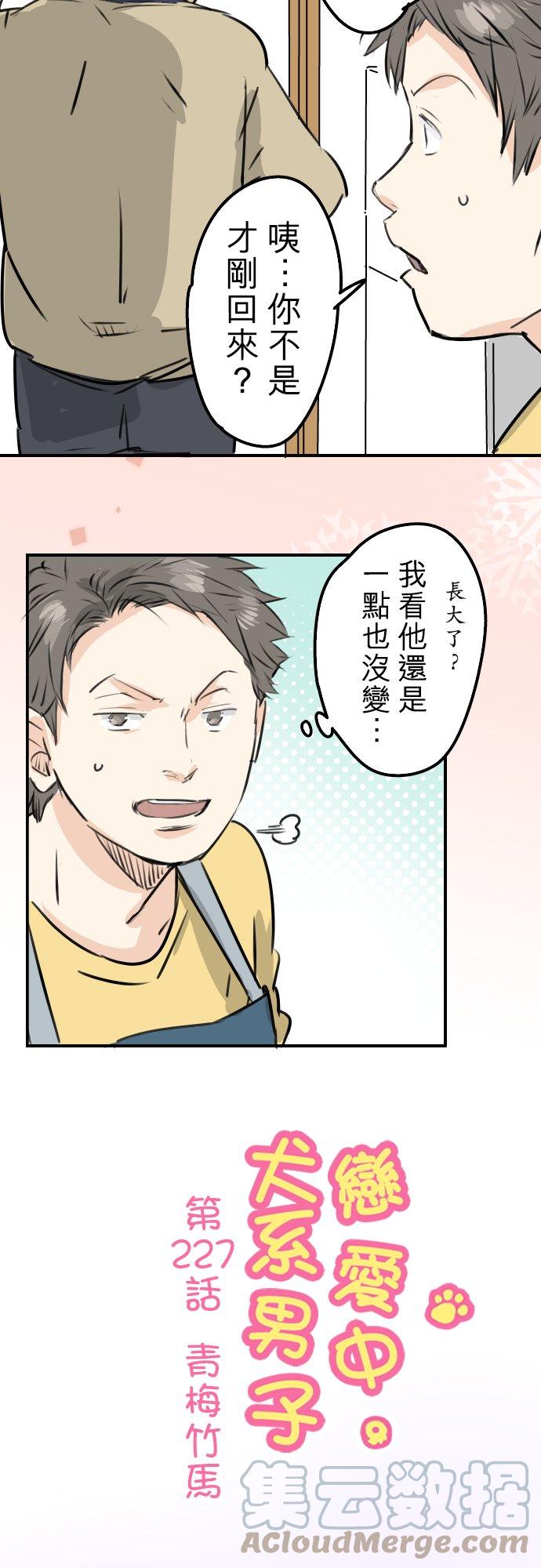 犬系男子恋爱中韩漫全集-第227话 青梅竹马无删减无遮挡章节图片 