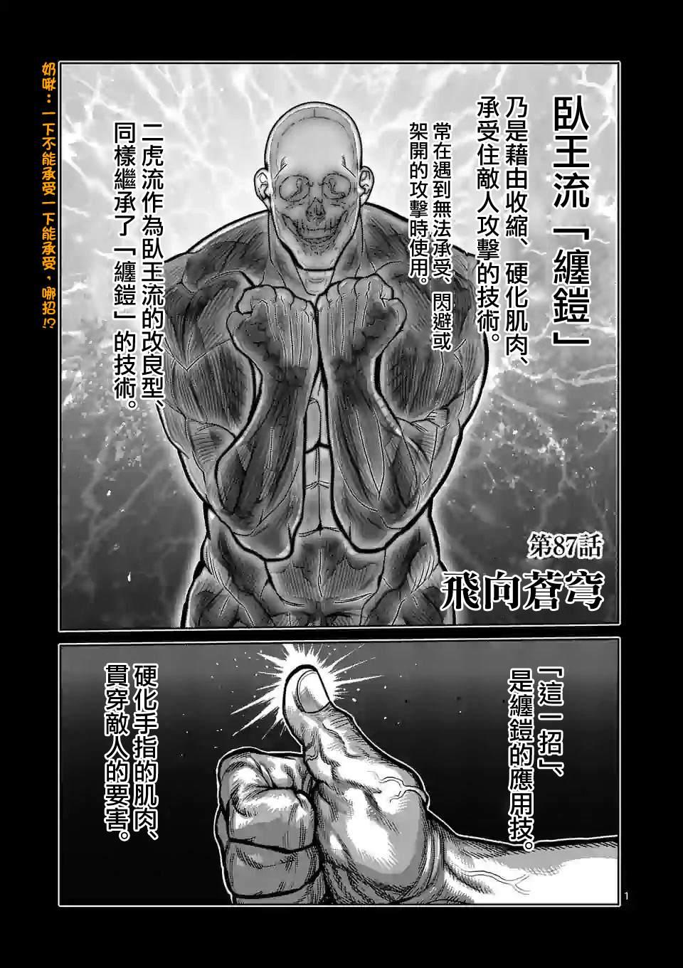 拳愿奥米伽韩漫全集-第87话 飞向苍穹无删减无遮挡章节图片 