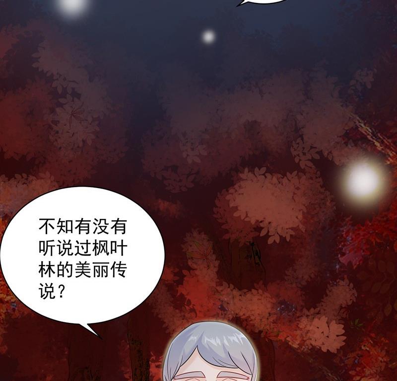 惹上首席帝少韩漫全集-第二部第60话 枫叶林的传说无删减无遮挡章节图片 