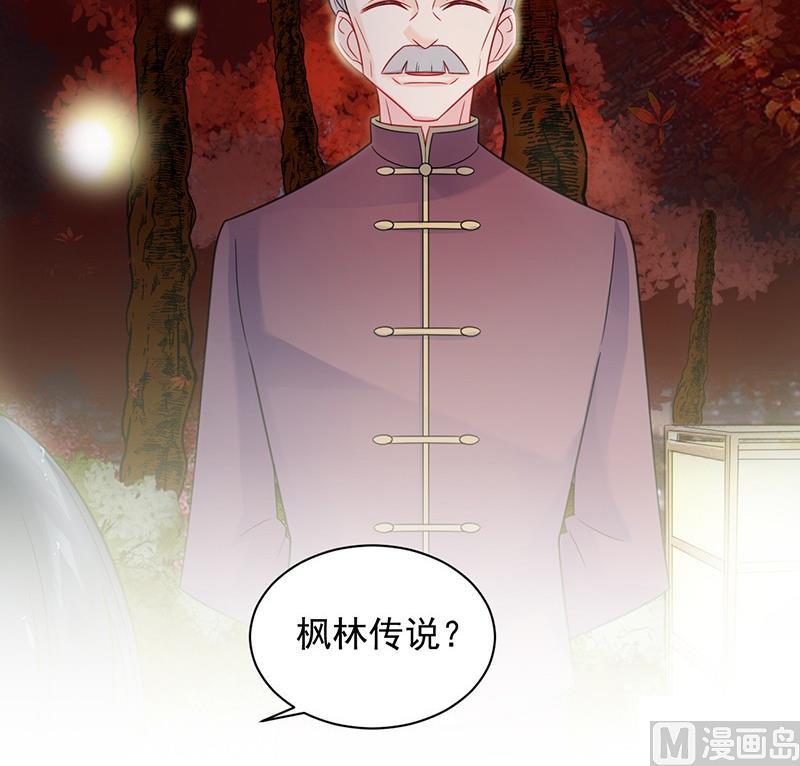 惹上首席帝少韩漫全集-第二部第60话 枫叶林的传说无删减无遮挡章节图片 