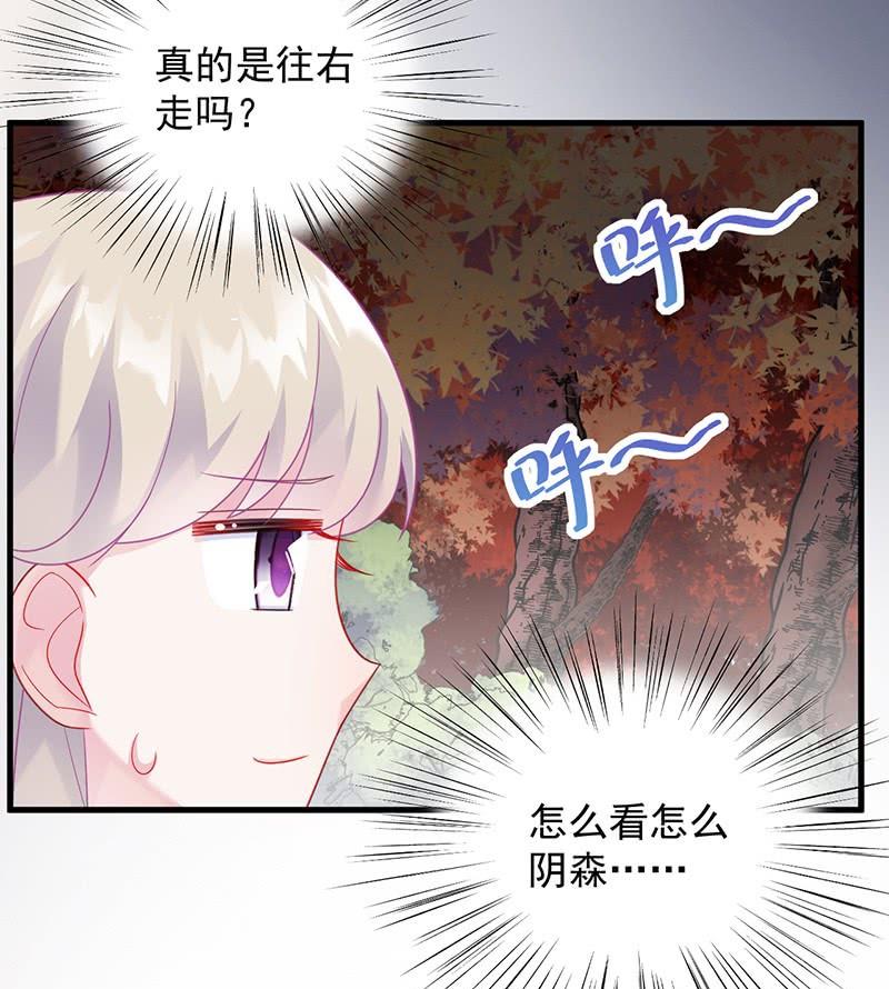 惹上首席帝少韩漫全集-第二部第62话 计划开始无删减无遮挡章节图片 