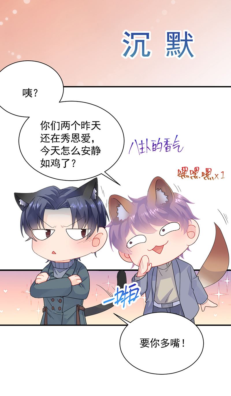 惹上首席总裁千金归来韩漫全集-这里的戒指随便你挑无删减无遮挡章节图片 