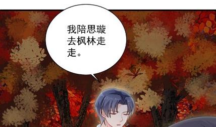 惹上首席总裁千金归来韩漫全集-枫叶林的传说无删减无遮挡章节图片 