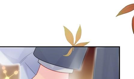 惹上首席总裁千金归来韩漫全集-枫叶林的传说无删减无遮挡章节图片 