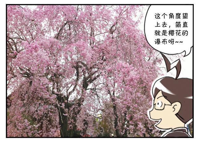 日在日本韩漫全集-170 上野花见会无删减无遮挡章节图片 