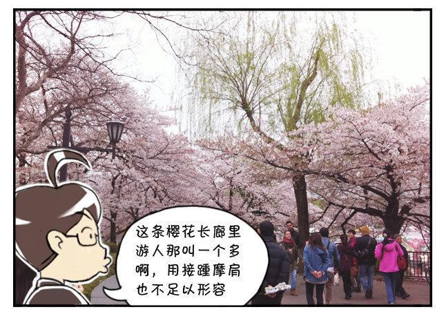 日在日本韩漫全集-170 上野花见会无删减无遮挡章节图片 