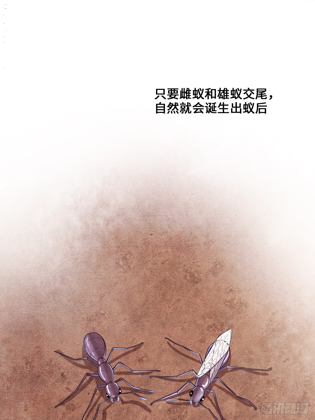入梦诡店韩漫全集-苏轶的饲养-6无删减无遮挡章节图片 