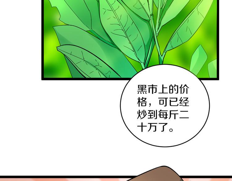 三界淘宝店韩漫全集-第142话 极品铁观音无删减无遮挡章节图片 