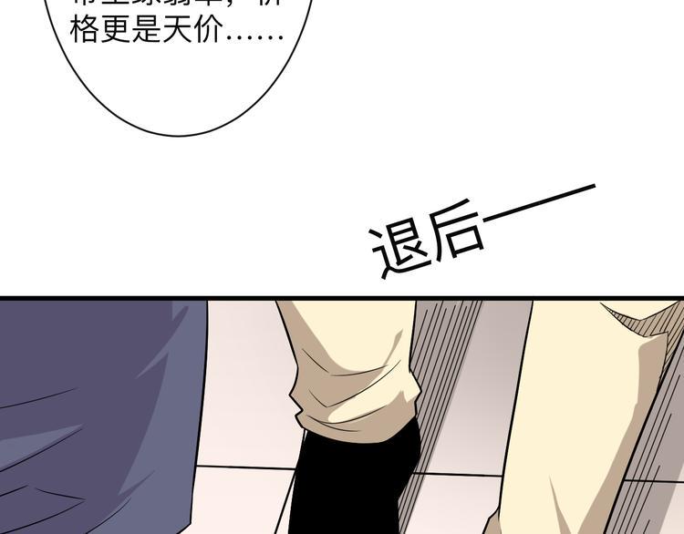 三界淘宝店韩漫全集-第231话 极品翡翠无删减无遮挡章节图片 