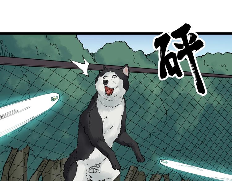 三界淘宝店韩漫全集-第64话 坑人追踪犬无删减无遮挡章节图片 