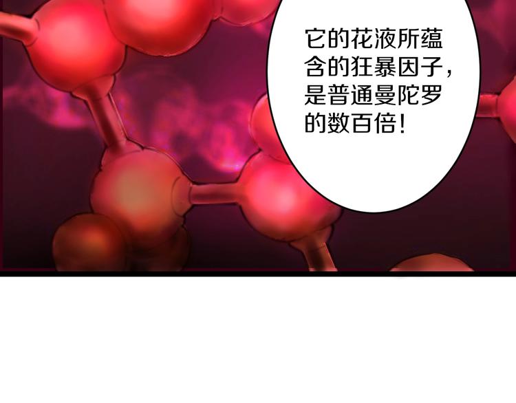 三界淘宝店韩漫全集-第68话 中国队长无删减无遮挡章节图片 