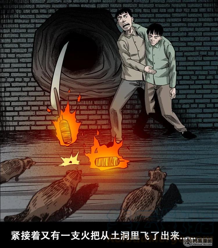 三老爷惊奇手札韩漫全集-110 食人獾无删减无遮挡章节图片 