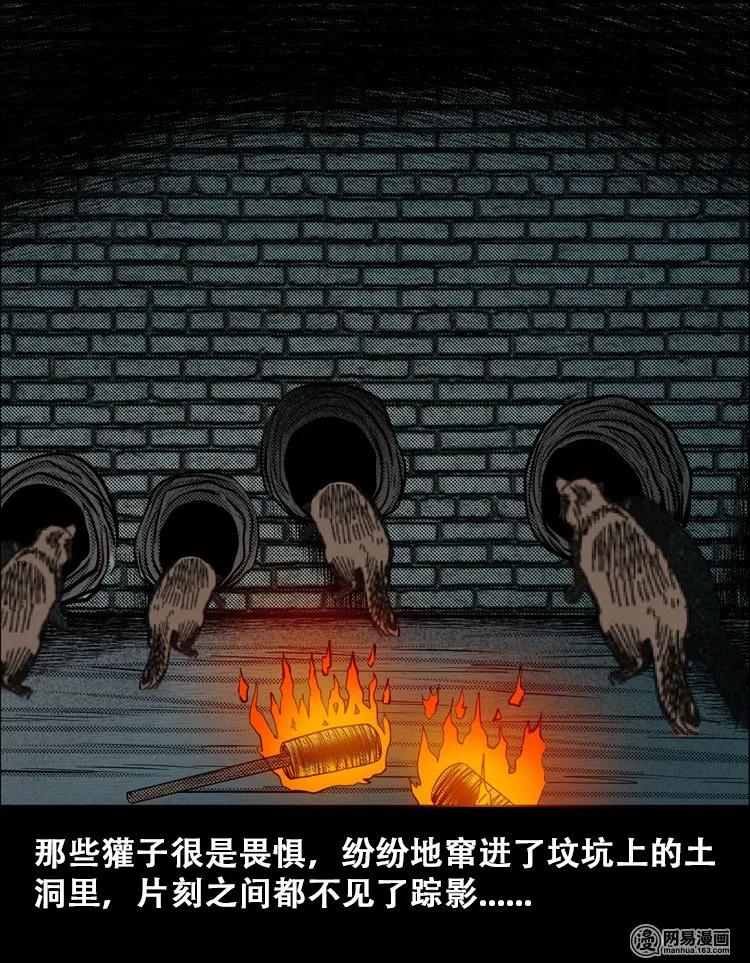 三老爷惊奇手札韩漫全集-110 食人獾无删减无遮挡章节图片 