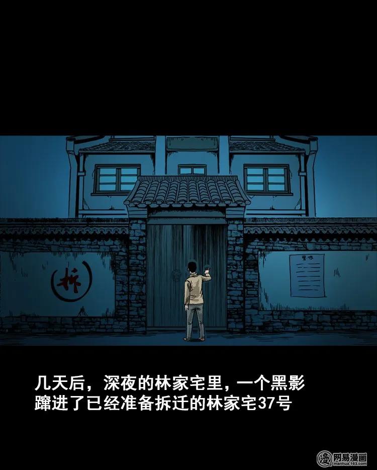 三老爷惊奇手札韩漫全集-115 林家宅37号（下）无删减无遮挡章节图片 