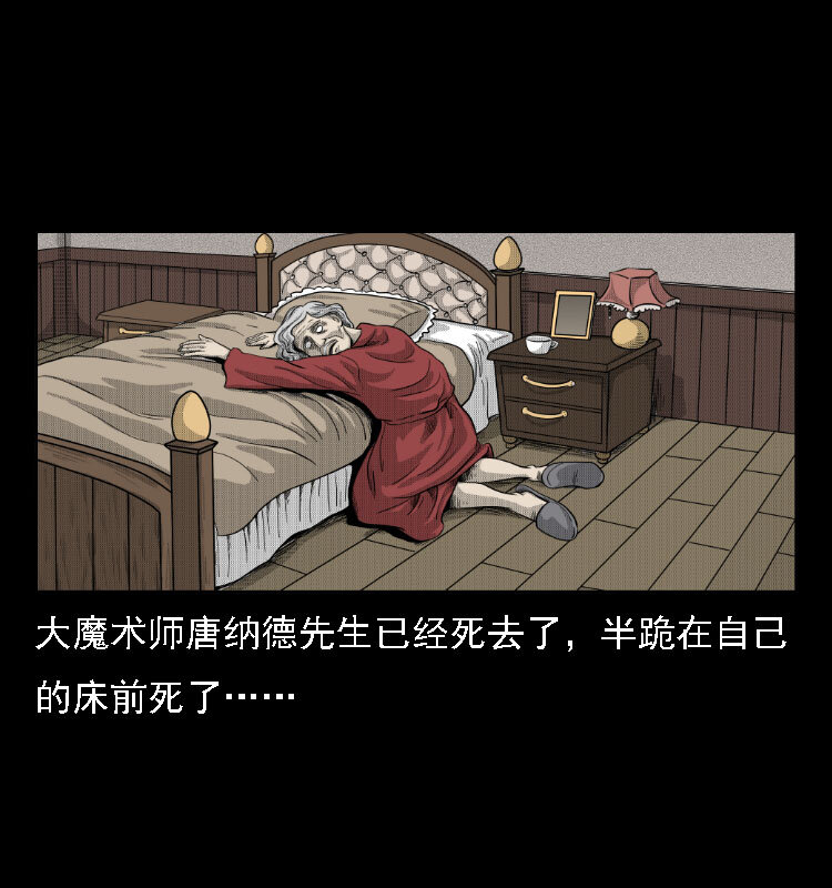 三老爷惊奇手札韩漫全集-14 魔术师唐纳德无删减无遮挡章节图片 