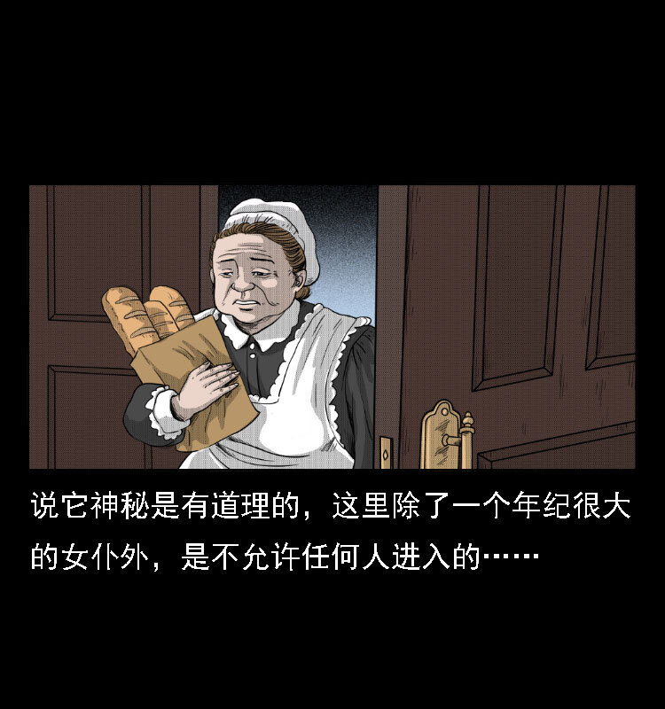 三老爷惊奇手札韩漫全集-14 魔术师唐纳德无删减无遮挡章节图片 