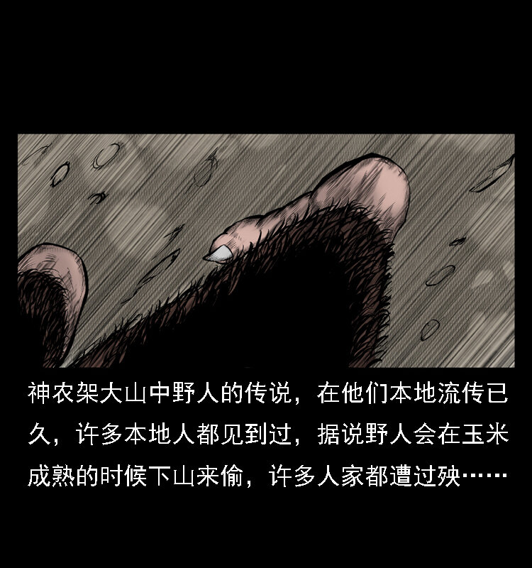 三老爷惊奇手札韩漫全集-16 神农架野人无删减无遮挡章节图片 