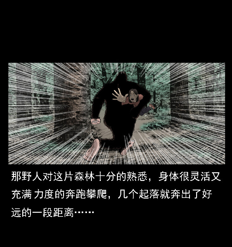 三老爷惊奇手札韩漫全集-16 神农架野人无删减无遮挡章节图片 
