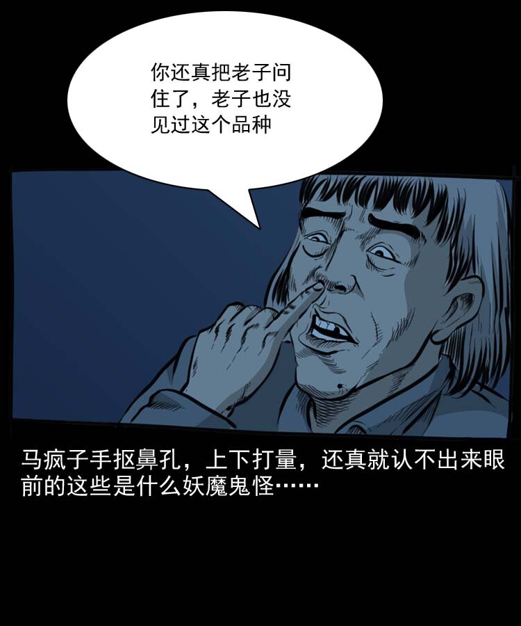 三老爷惊奇手札韩漫全集-特别篇 万圣节特辑无删减无遮挡章节图片 