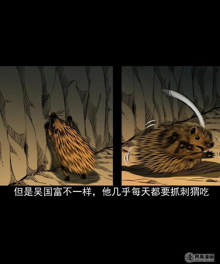 三老爷惊奇手札韩漫全集-168 刺猬无删减无遮挡章节图片 