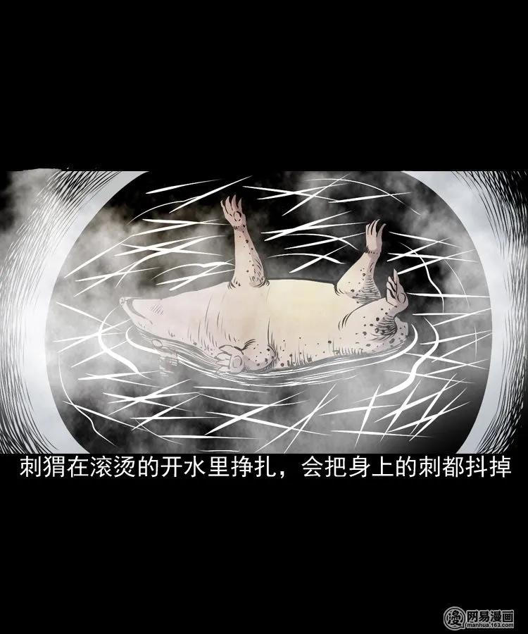 三老爷惊奇手札韩漫全集-168 刺猬无删减无遮挡章节图片 