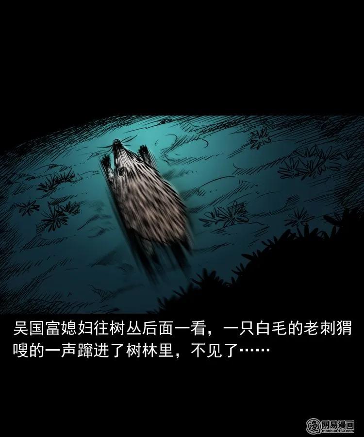 三老爷惊奇手札韩漫全集-168 刺猬无删减无遮挡章节图片 