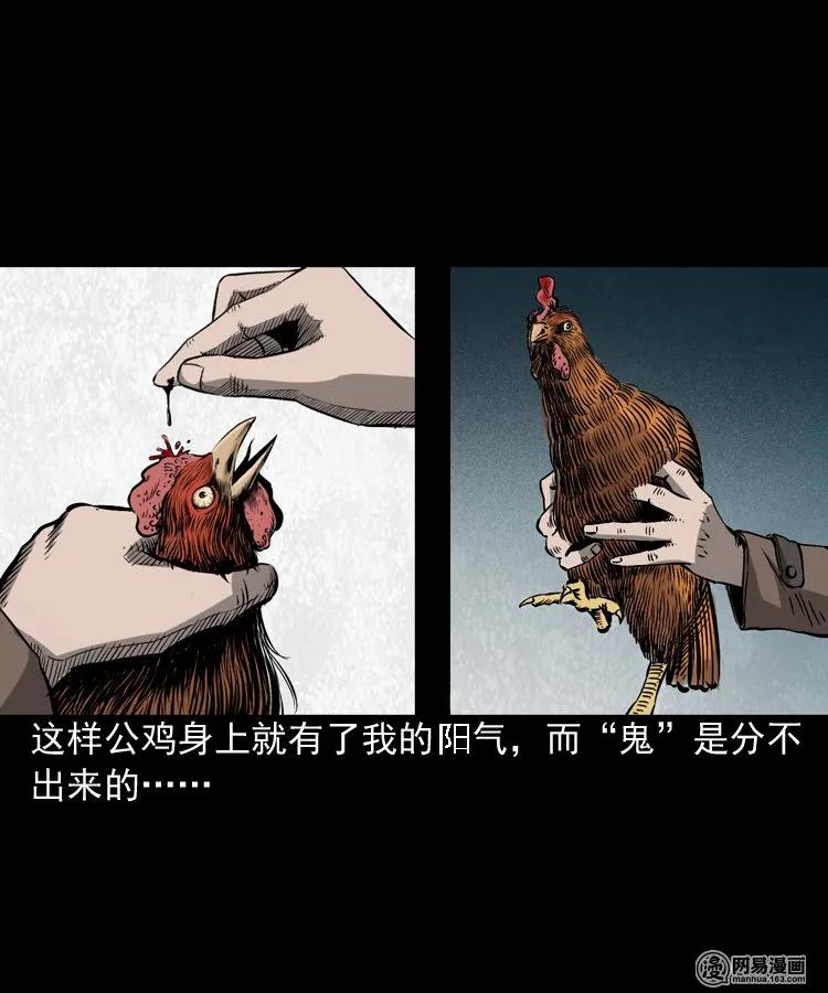 三老爷惊奇手札韩漫全集-169 阴阳眼（六）无删减无遮挡章节图片 