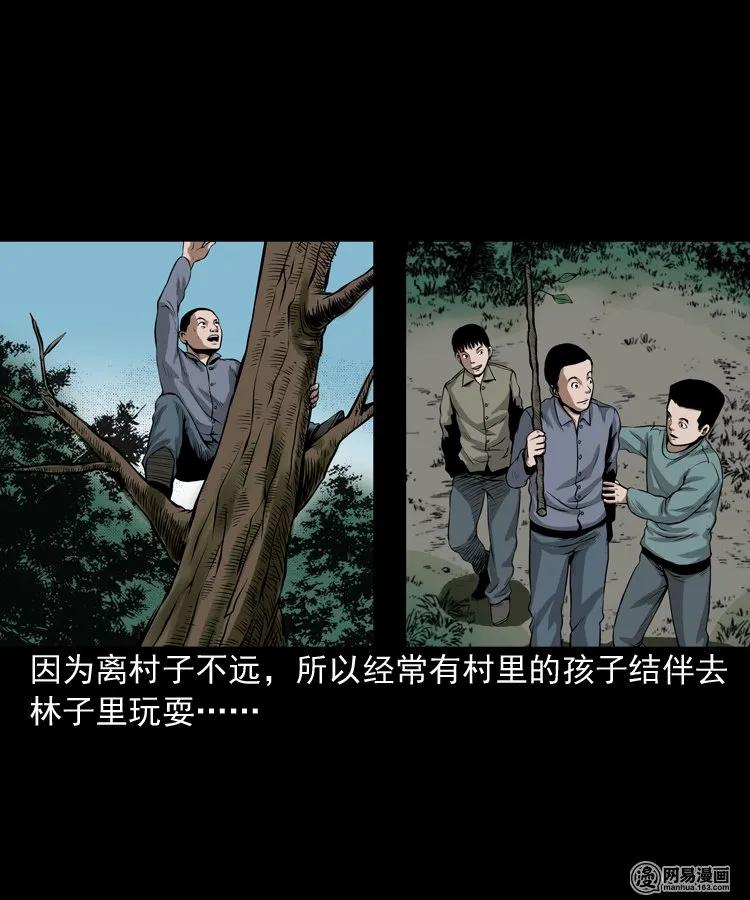 三老爷惊奇手札韩漫全集-173 午夜出租车（二）无删减无遮挡章节图片 