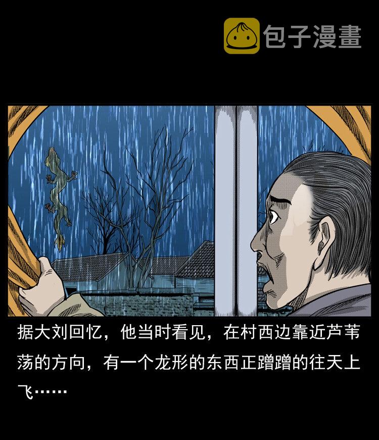 三老爷惊奇手札韩漫全集-20 坠龙无删减无遮挡章节图片 