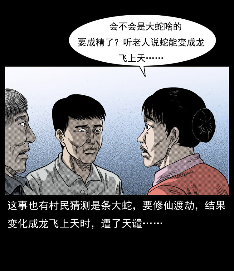 三老爷惊奇手札韩漫全集-20 坠龙无删减无遮挡章节图片 