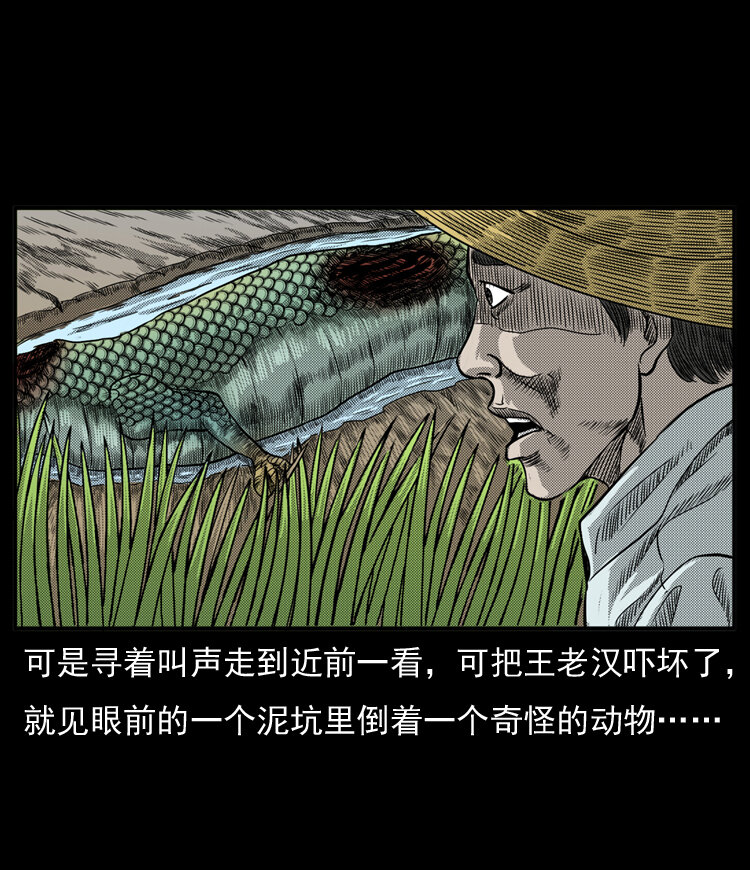 三老爷惊奇手札韩漫全集-20 坠龙无删减无遮挡章节图片 