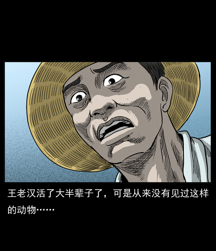 三老爷惊奇手札韩漫全集-20 坠龙无删减无遮挡章节图片 