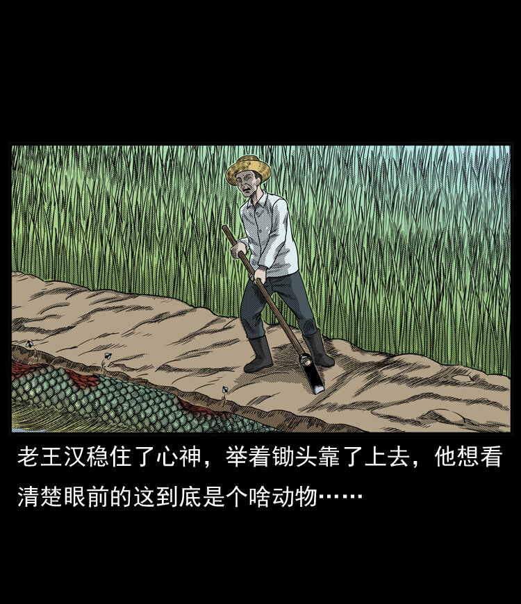 三老爷惊奇手札韩漫全集-20 坠龙无删减无遮挡章节图片 