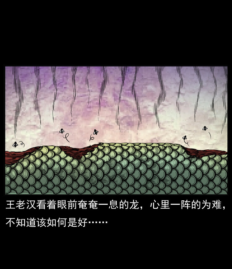 三老爷惊奇手札韩漫全集-20 坠龙无删减无遮挡章节图片 